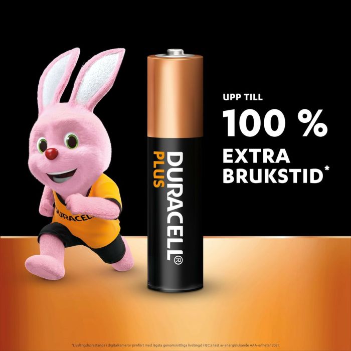 Piles Rechargeables DURACELL DPBLR3B8 1,5 V AAA 6