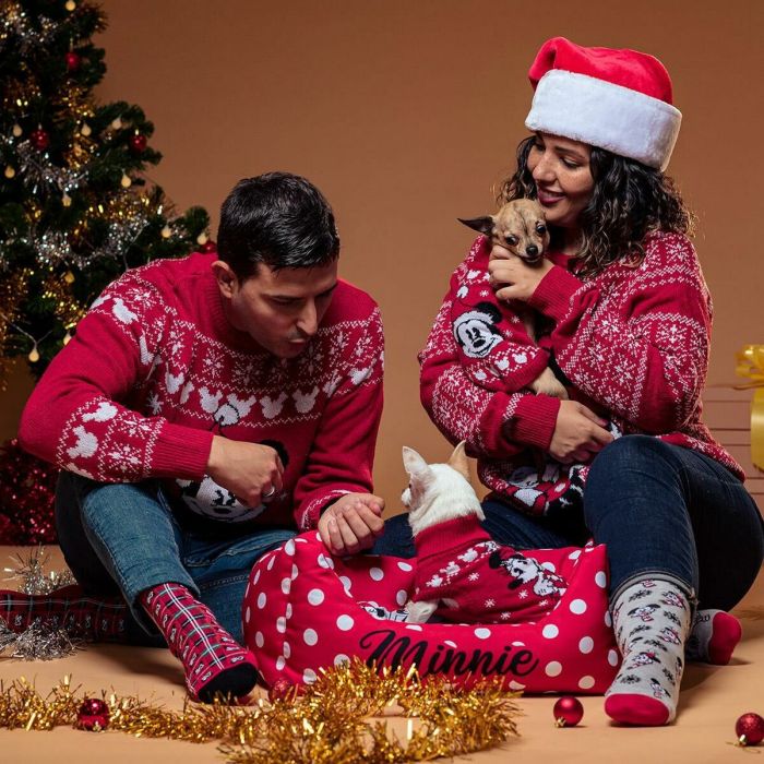 Pull femme Minnie Mouse Rouge 2