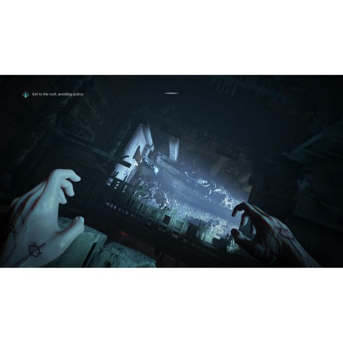 Jeu vidéo PlayStation 5 PLAION 6