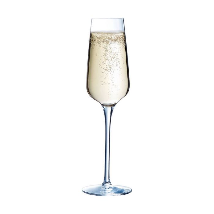 Coupe de champagne Chef & Sommelier 6 Unités Transparent verre (21 cl) 3