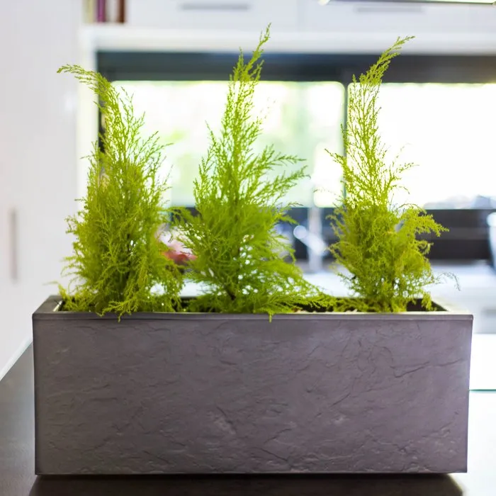 Eda - Balconnière Volcania Up 25 L - Décoration intérieure et extérieure - Finition pierre - 59 x 19.5 x 22.8 cm - Gris anthracite Eda - Balconnière Volcania Up 25 L - Décoration intérieure et extérieure - Finition pierre - 59 x 19.5 x 22.8 cm - Gris anthracite