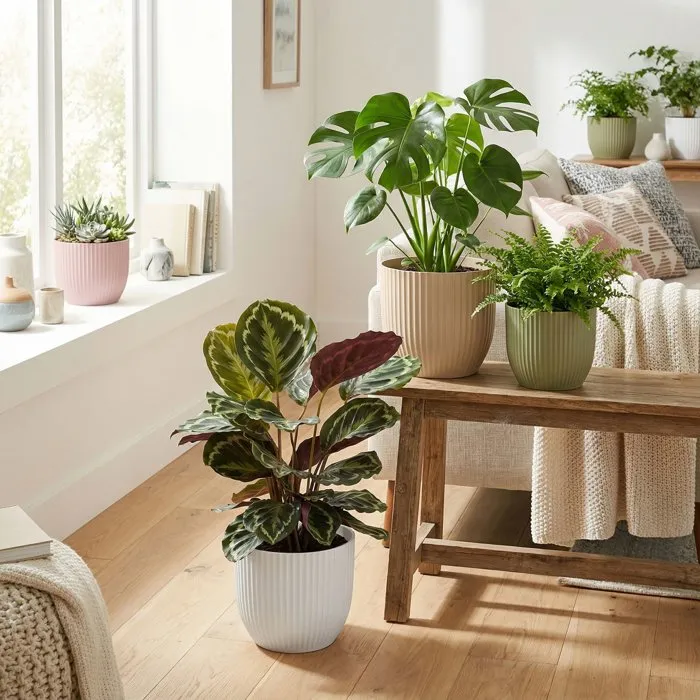 Deroma Pot de fleurs rond 7 Litres Ø 24 cm Vert - Design contemporain pour intérieur et extérieur