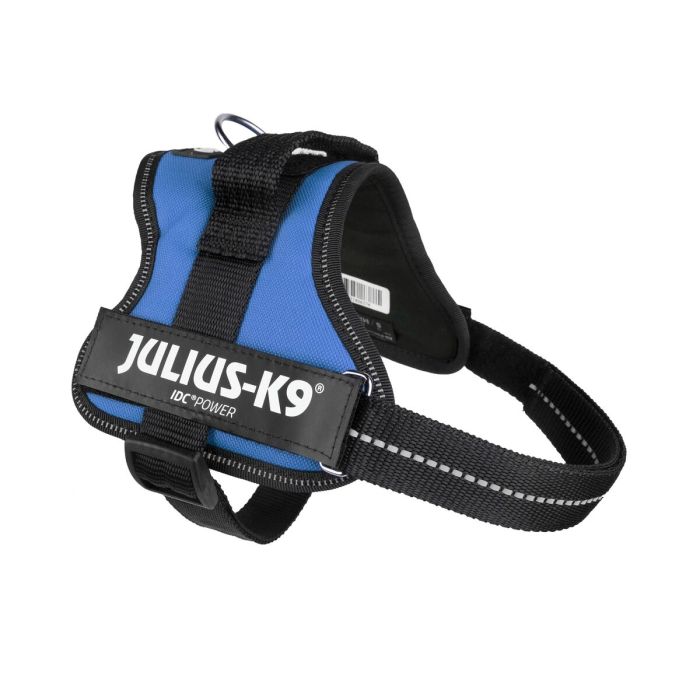 Harnais pour Chien Julius K9 Power Bleu M 2