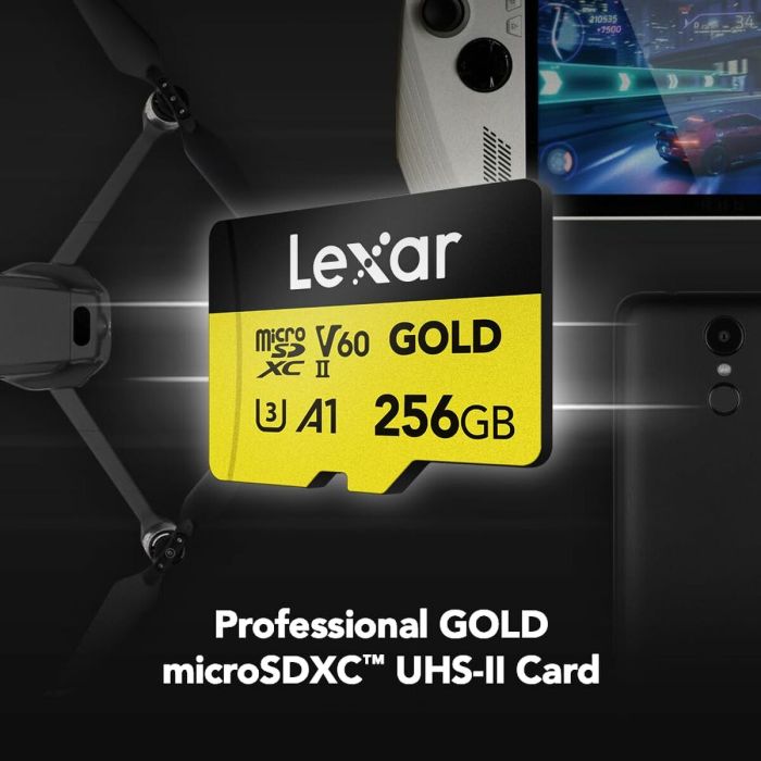 Carte Mémoire SD Lexar LMSGOLD256G-BNNNG 256 GB 6