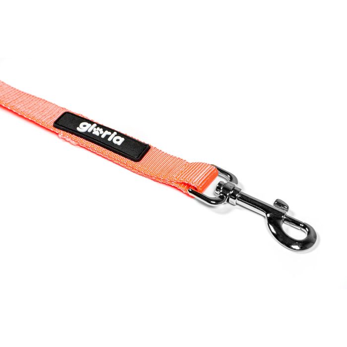 Laisse pour Chien Gloria Orange S 4