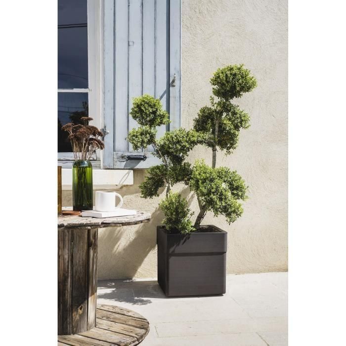 Bac a fleurs Carré 40 cm - EDA - CAREL - 26 L - Avec roulettes - Extérieur ou intérieur - 39 x 39 x H.39 cm - Gris Anthracite 4 Bac a fleurs Carré 40 cm - EDA - CAREL - 26 L - Avec roulettes - Extérieur ou intérieur - 39 x 39 x H.39 cm - Gris Anthracite 4
