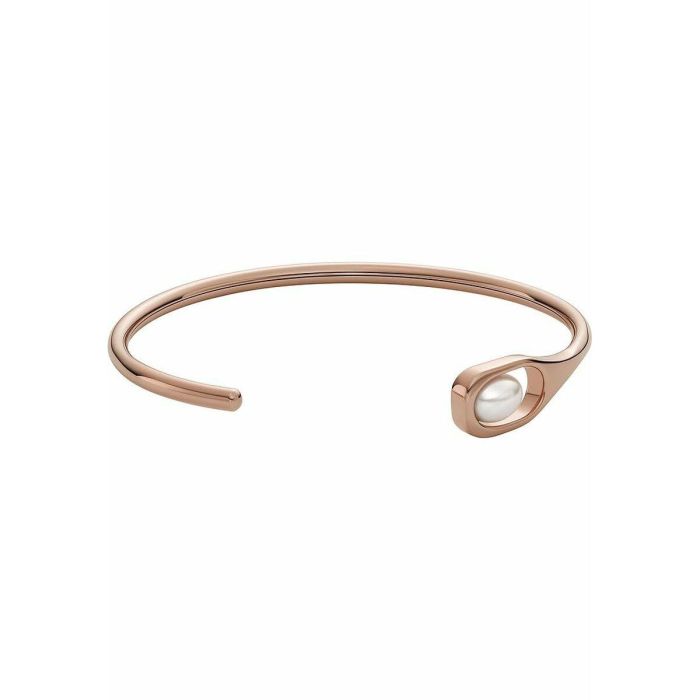 Bracelet Femme Skagen SKJ1748791 0
