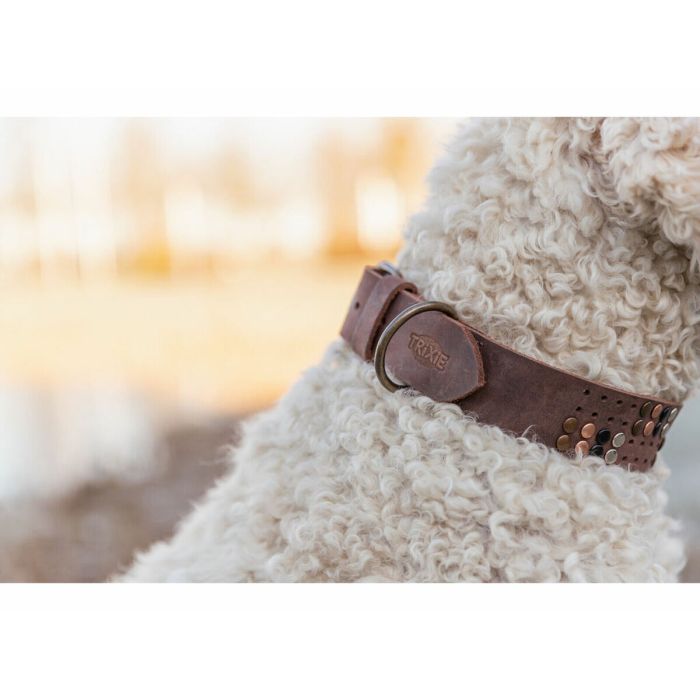 Collier pour Chien Trixie Rustic Brun foncé L 4
