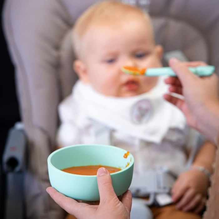 Assiette Sophie la Girafe 8