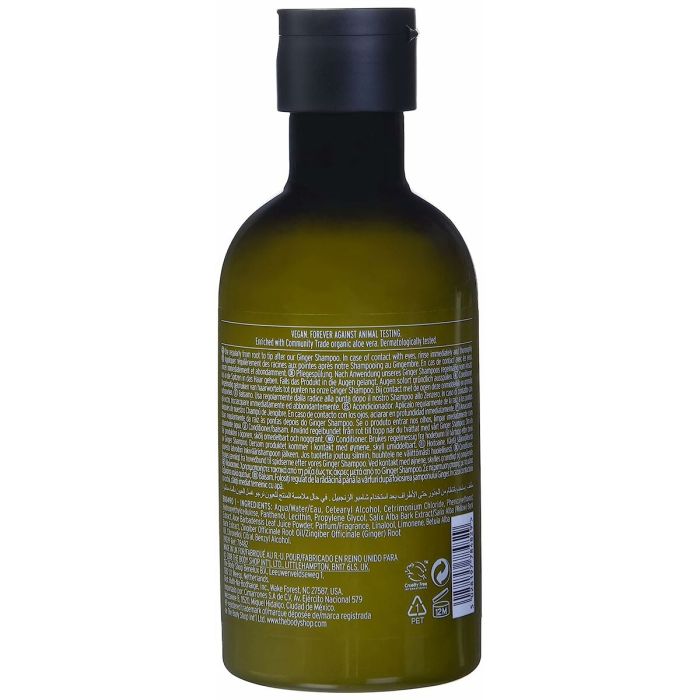 Après-shampooing The Body Shop Ginger 250 ml 1 Après-shampooing The Body Shop Ginger 250 ml 1