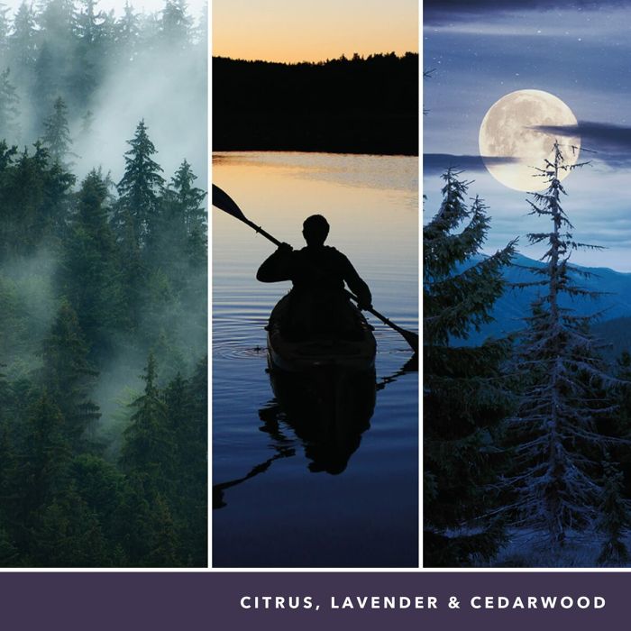 Bougie Parfumée Yankee Candle 1629968E 6