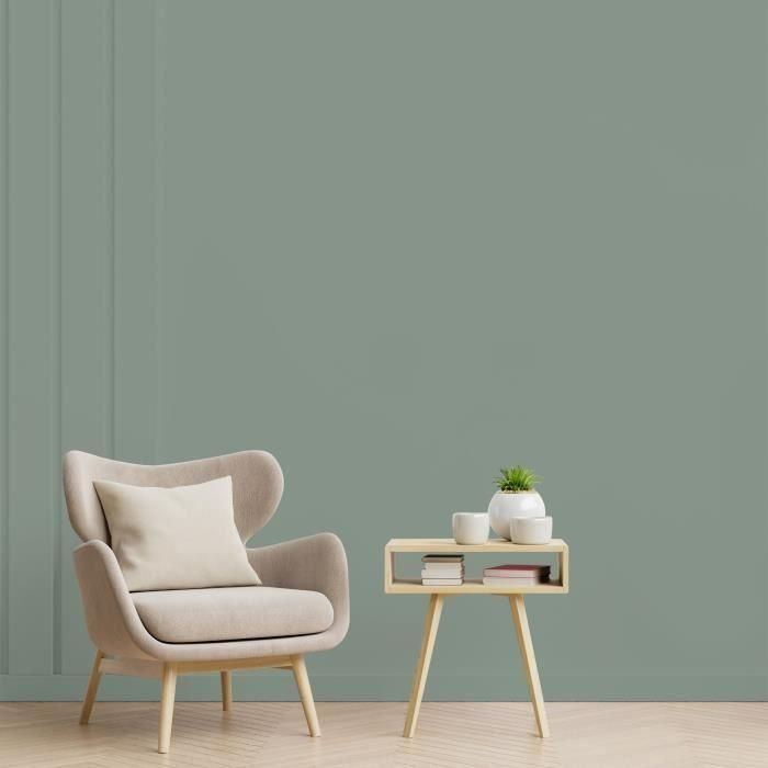 Peinture de décoration murale intérieure - Vert nobile mat - RIPOLIN - 2,5 L 3 Peinture de décoration murale intérieure - Vert nobile mat - RIPOLIN - 2,5 L 3