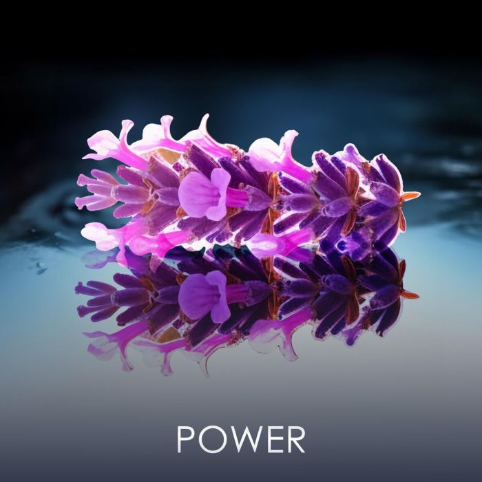 Parfum Homme PHILIPP PLEIN NO LIMITS EDP 90 ml 4