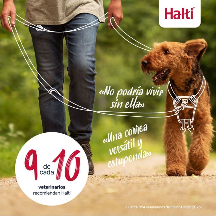 Laisse de suivi Company of Animals Blue 1