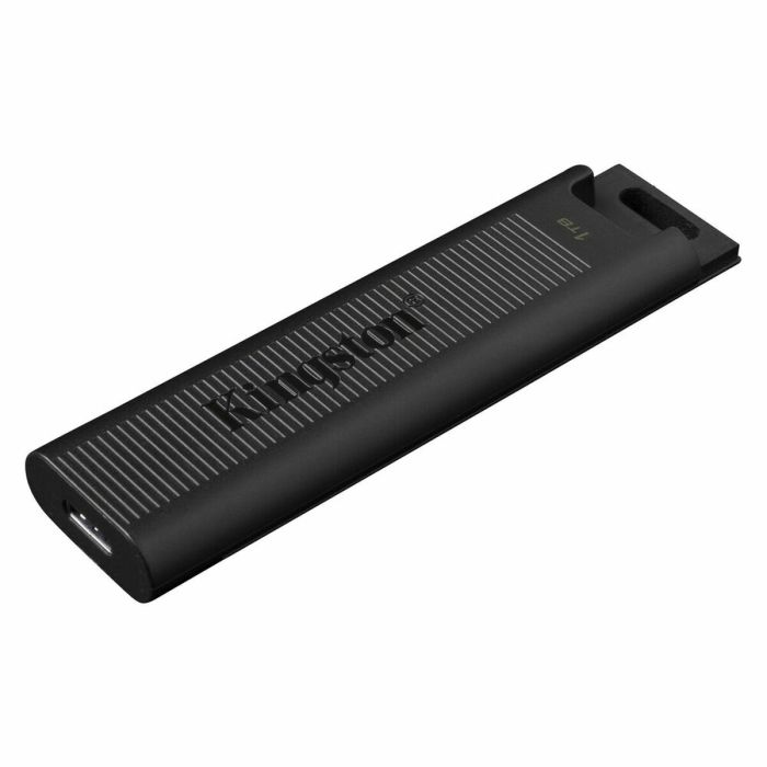 Clé USB Kingston DTMAX/1TB Noir 1 TB (1 Unité) 1