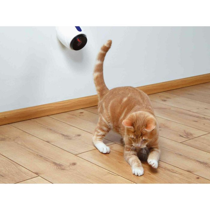 Pointe Laser Trixie 3