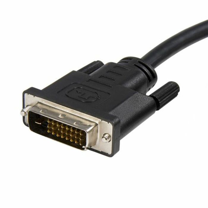 Câble DisplayPort vers DVI Startech DP2DVIMM10 Noir 2