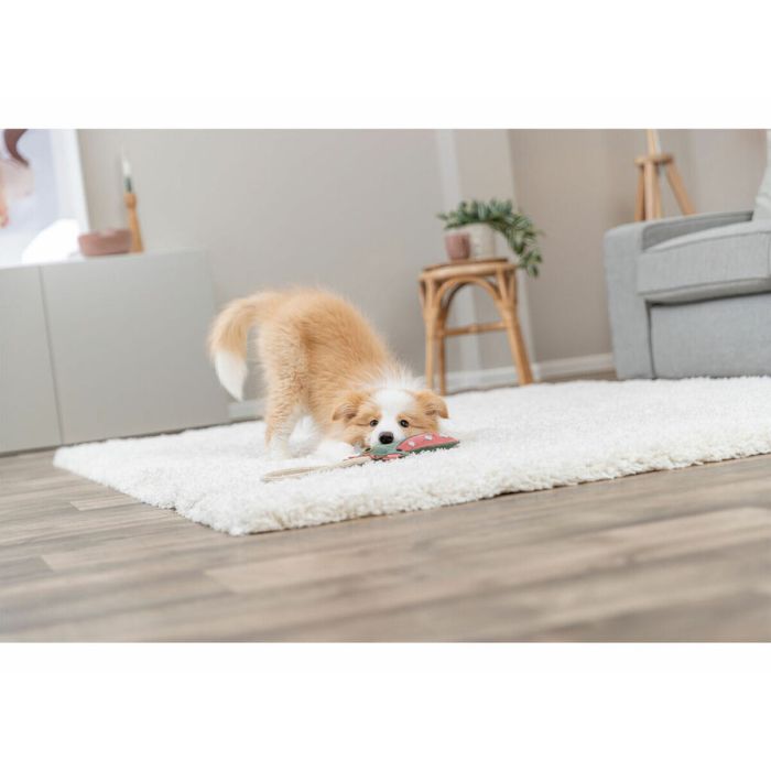 Jouet pour chien en peluche Trixie 4