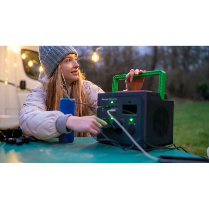 Système d'Alimentation Sans Interruption Interactif APC PPS500-GR Noir Vert 500 W 7