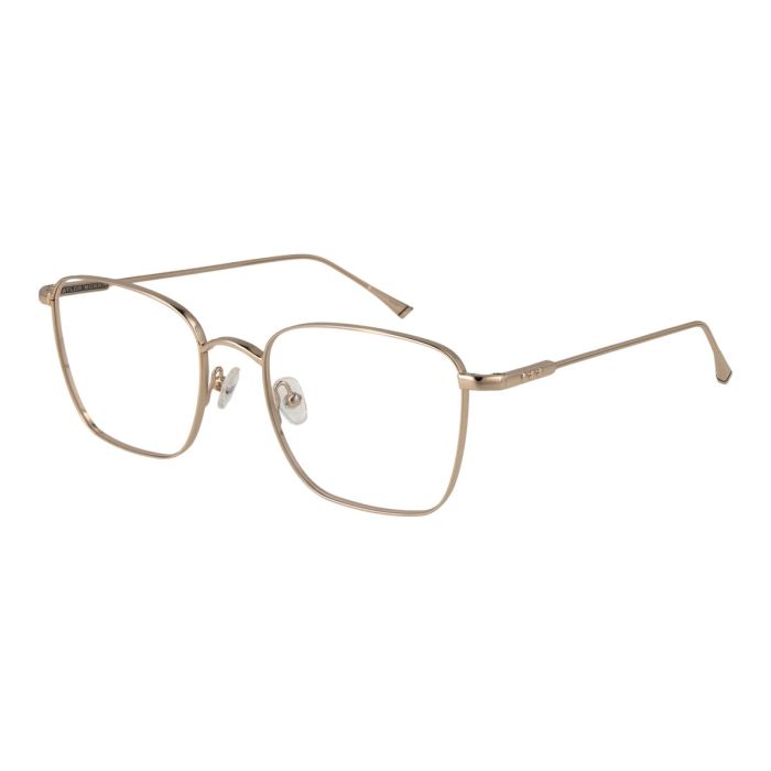 Monture de Lunettes Unisexe Taylor Morris TM01 55C1