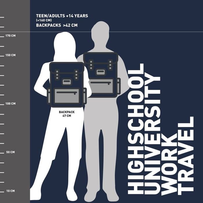 Cartable Harry Potter Gris 1