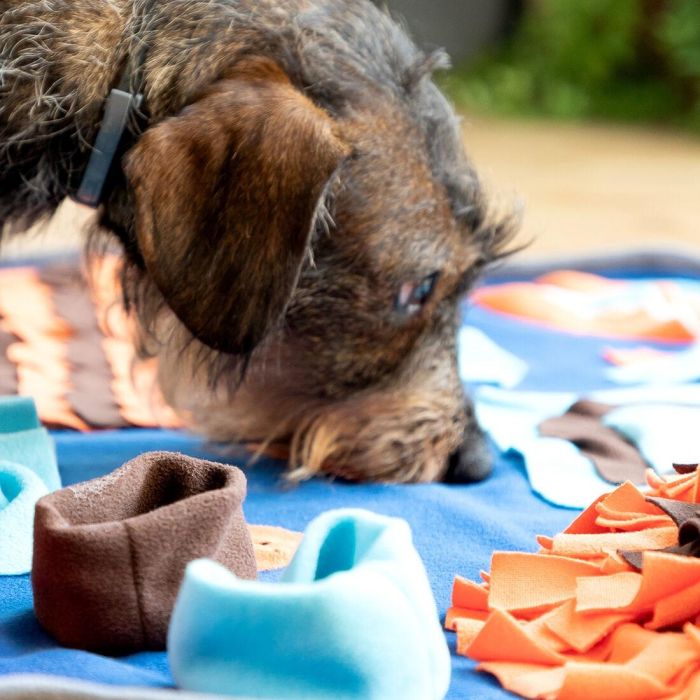 Tapis Olfactif pour Animaux de Compagnie Foopark InnovaGoods