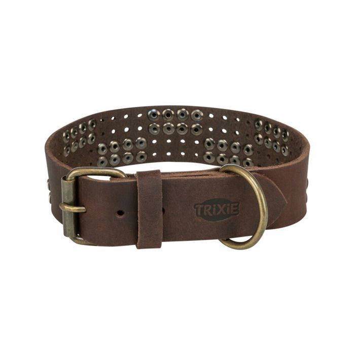 Collier pour Chien Trixie Rustic Brun foncé L