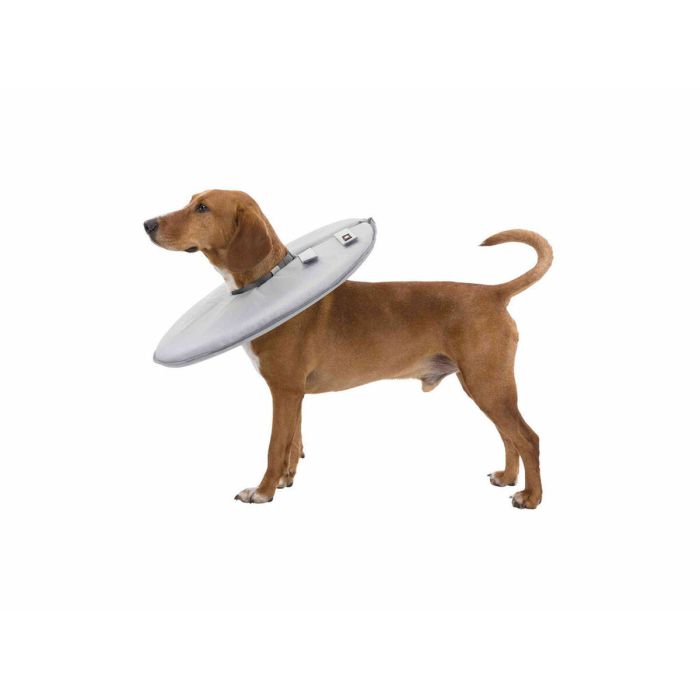 Collier de protection Isabelino pour chiens Trixie Gris (23-27 cm) 11