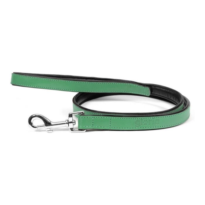 Laisse pour Chien Gloria 1.8 x 100 cm Vert 1 Laisse pour Chien Gloria 1.8 x 100 cm Vert 1