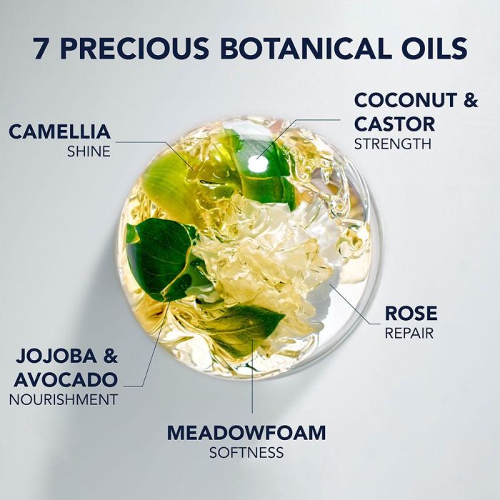 Phyto 7 Elixir Huile Nutrition Absolue 100 Ml 2 Phyto 7 Elixir Huile Nutrition Absolue 100 Ml 2