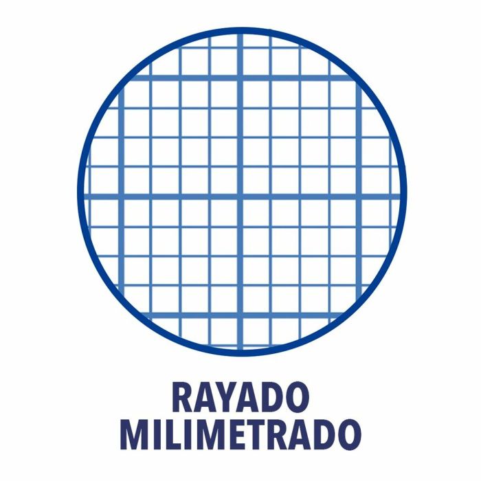 Cahier Oxford Write&Erase Multicouleur Din A4 80 Volets 21,5 x 31,5 cm 5 Pièces 5