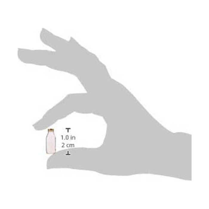 Bouteille Bormioli Rocco Quattro Stagioni Transparent verre 1 L 1