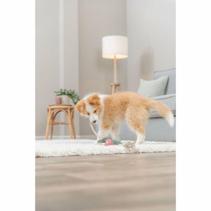 Jouet pour chien en peluche Trixie 1