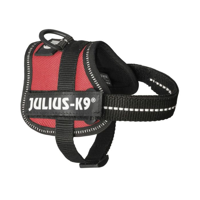 Harnais pour Chien Julius K9 Power Rouge 1 Baby 1 (XS) 3