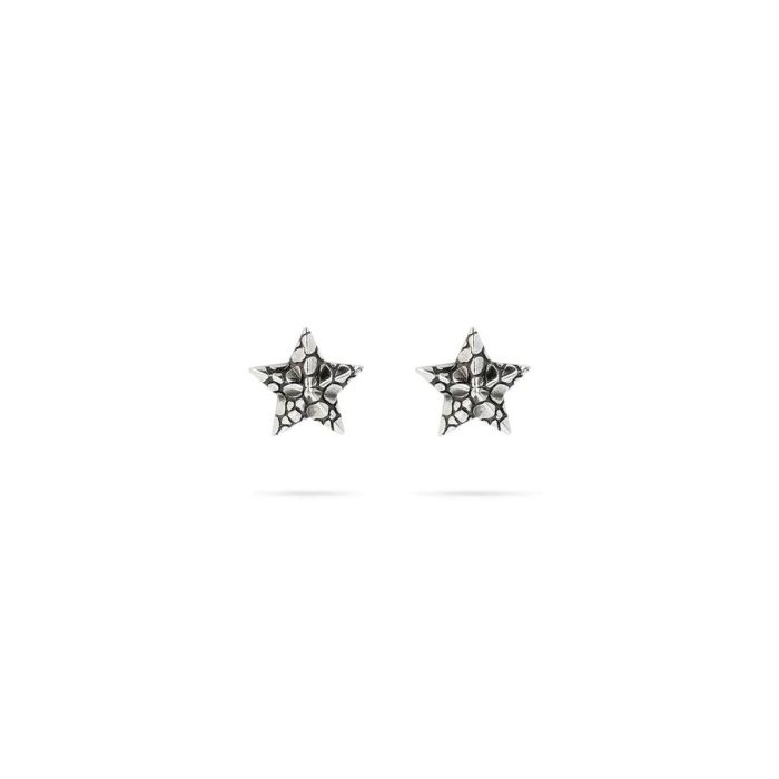 Boucles d´oreilles Femme Albert M. WSOX00510.S Argenté 0 Boucles d´oreilles Femme Albert M. WSOX00510.S Argenté 0