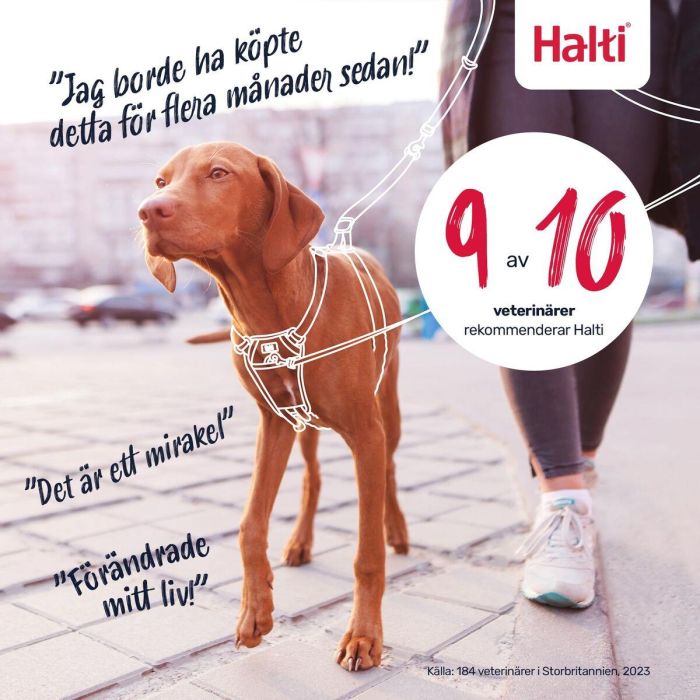 Harnais pour Chien Company of Animals COBALT Bleu 12 7