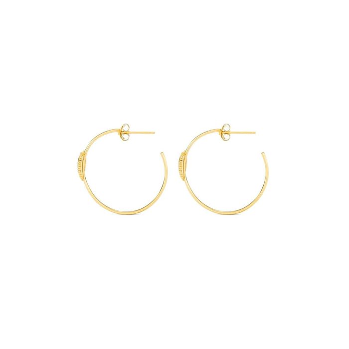 Boucles d´oreilles Femme Radiant RY000057 Acier inoxydable 3 cm 2
