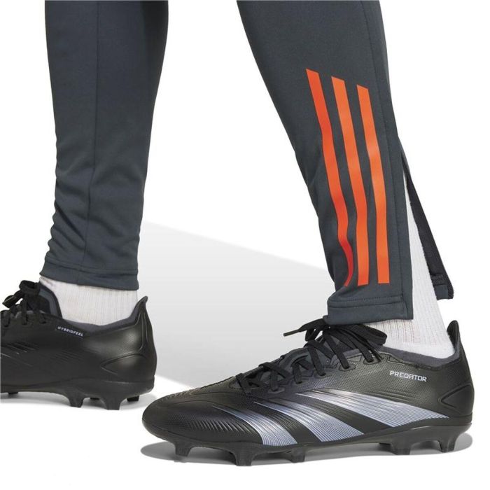 Jogging d'Entraînement de Football pour Adultes Adidas SL Benfica 24/25 Tiro24 Gris Homme XS 1 Jogging d'Entraînement de Football pour Adultes Adidas SL Benfica 24/25 Tiro24 Gris Homme XS 1