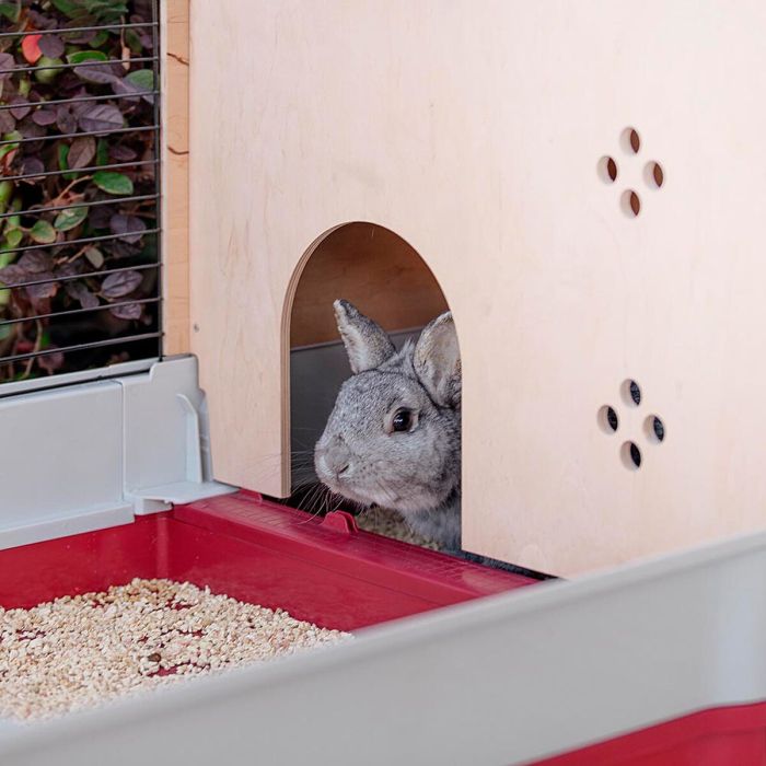 Cage Ferplast Krolik 140 Plus Métal Plastique 142 x 50 x 60 cm 10