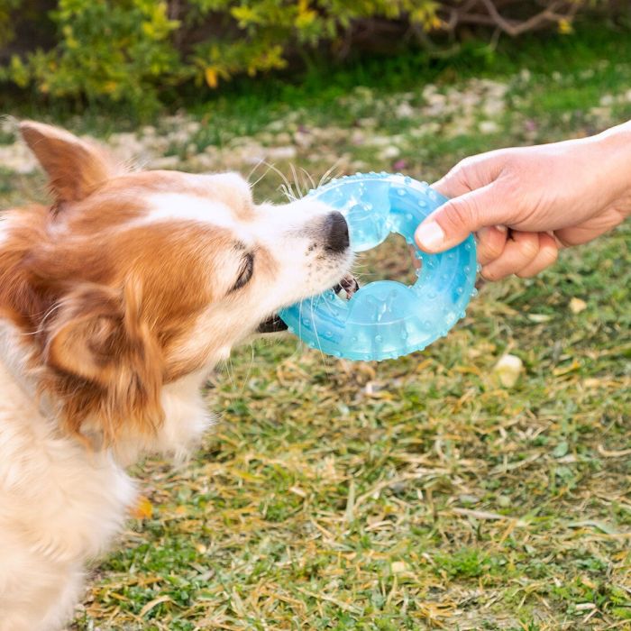 Jouet à Mordre 2 en 1 Congelable pour Animaux de Compagnie Glubiz InnovaGoods 7