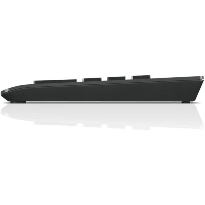 clavier et souris Lenovo 4Y40R38905 Noir