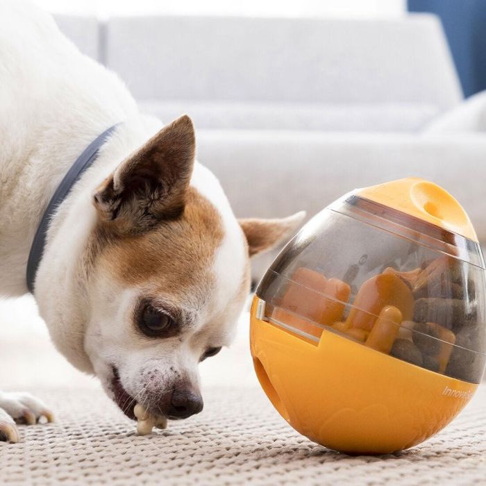 Jouet Distributeur de Friandises pour Animaux2 en 1 Petyt InnovaGoods