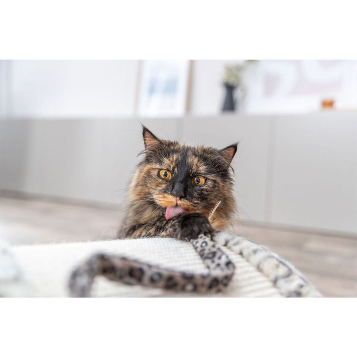 Grattoir pour Chats Trixie Leo Crème 25 cm 2