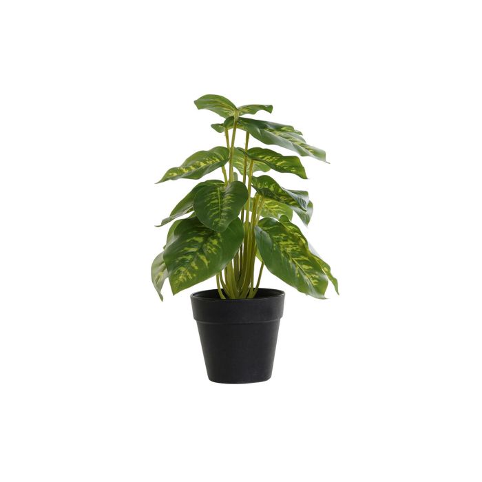 Plante décorative DKD Home Decor PVC polypropylène 20 x 20 x 30 cm 0 Plante décorative DKD Home Decor PVC polypropylène 20 x 20 x 30 cm 0