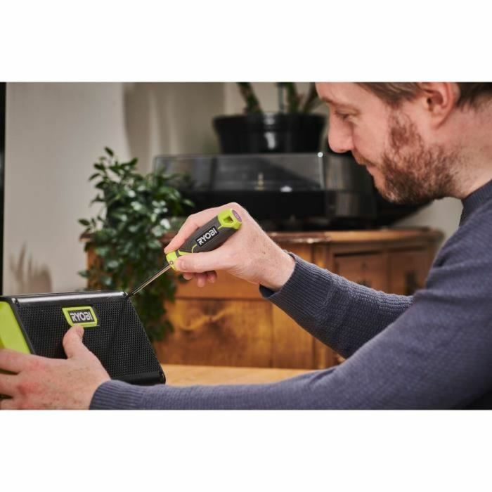 Jeu de tournevis Ryobi 5 Pièces 1