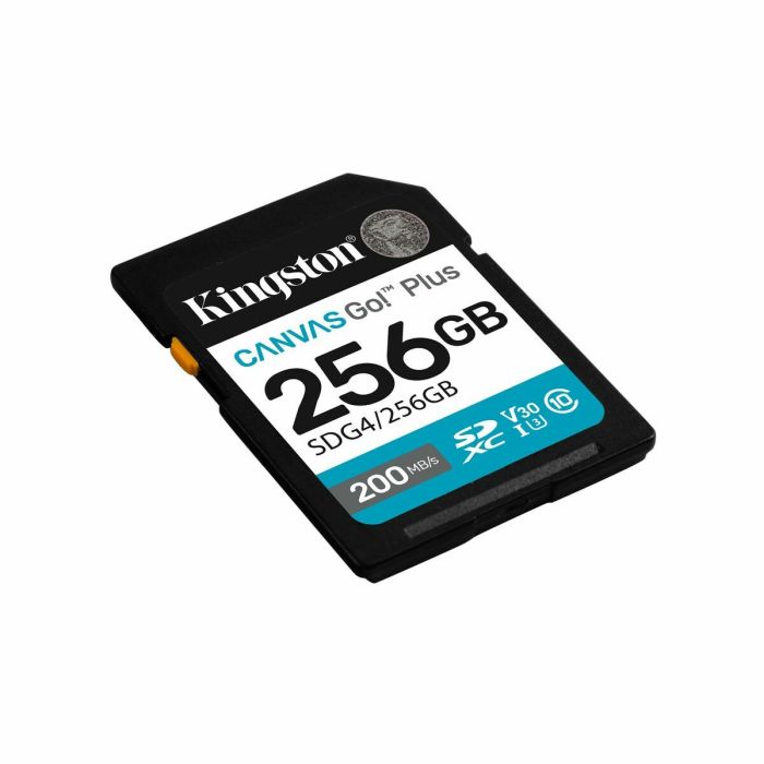 Carte Mémoire Micro SD avec Adaptateur Kingston SDG4/256GB 256 GB 3