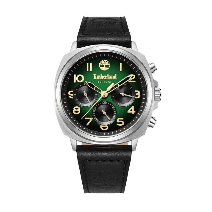 Montre Homme Timberland TDWGB0042008 Montre Homme Timberland TDWGB0042008