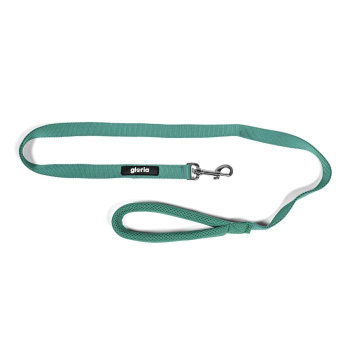 Laisse pour Chien Gloria Turquoise S 4