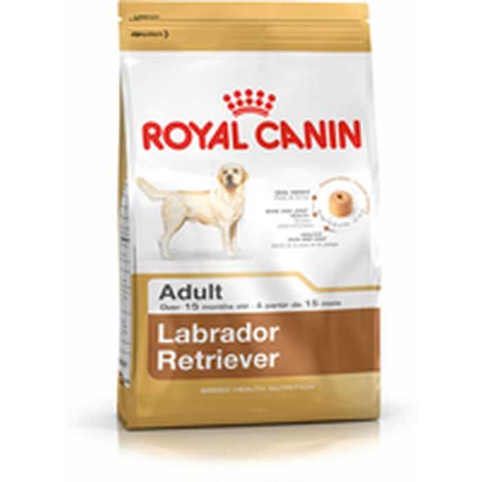 Nourriture Royal Canin Labrador Retriever Adult Adulte Poulet Riz Oiseaux 12 kg 1