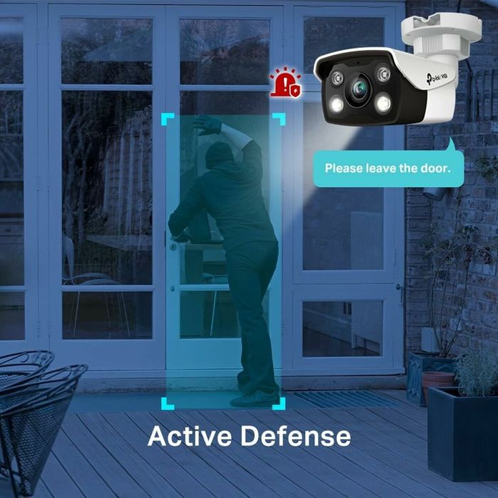 Camescope de surveillance TP-Link VIGI C350(4MM) 5